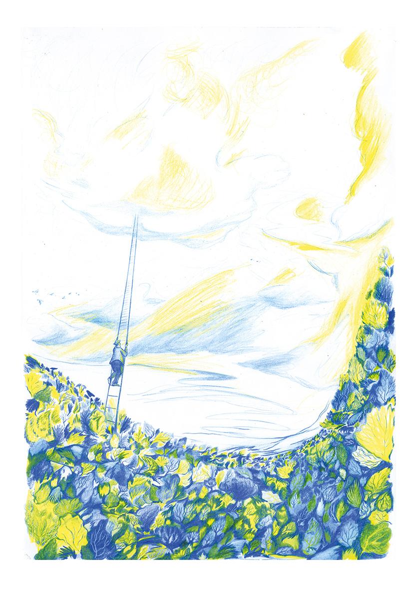 Accumulando tesori in cielo