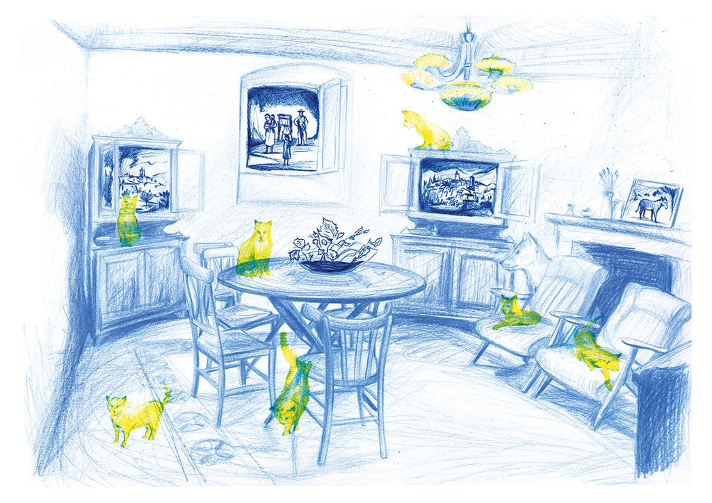 Il Palazzo Del Gatto