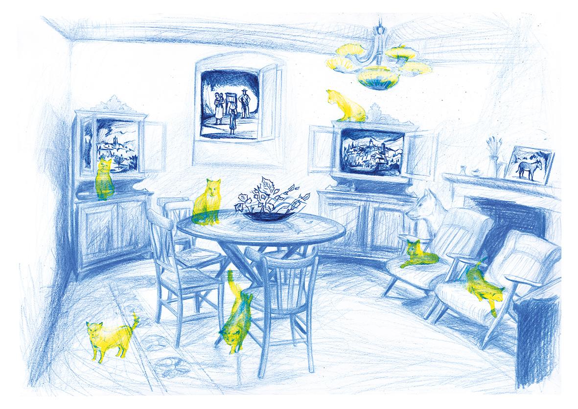 Il Palazzo Del Gatto