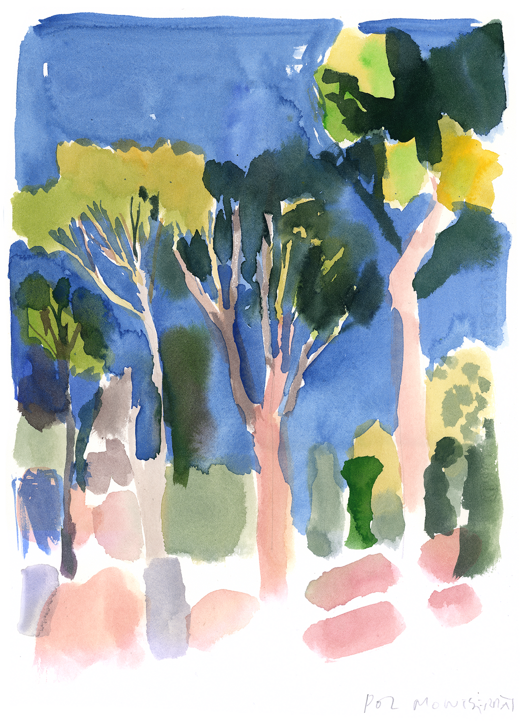 Pine Trees in Cap Roig