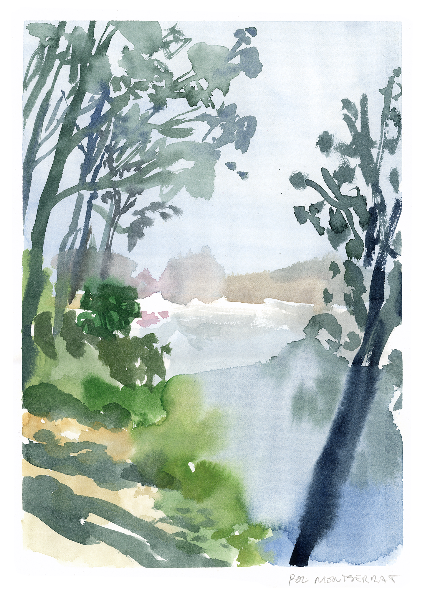 Cottonwood trees by the Ter