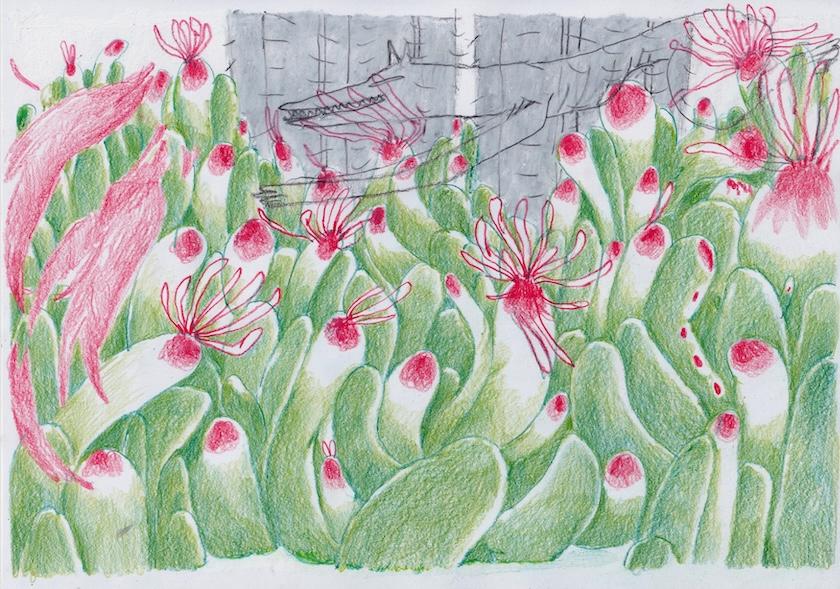 Frame per NOBODADDY II