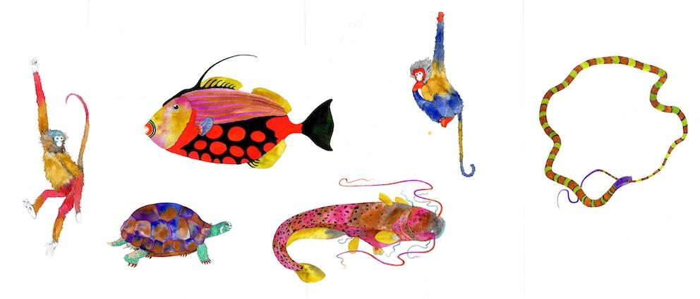 Frammenti non quotidiani